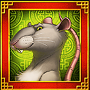 Rat